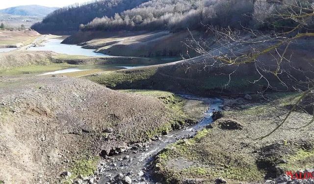 ‘Suçlu Aramak Yerine Çözüm Üretmeli’