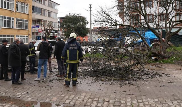 Yalova Belediyesi Fırtınaya Karşı Seferber Oldu