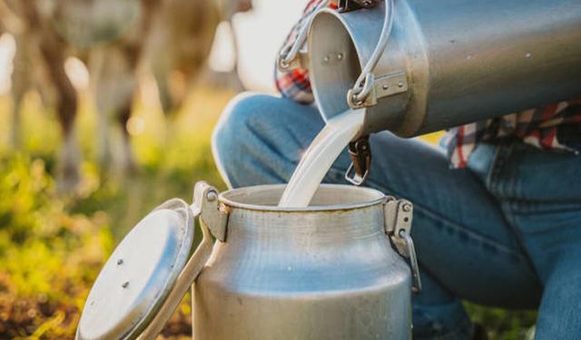 Yalova’da Çiğ Süte Zam: Litresi 48 TL Oldu