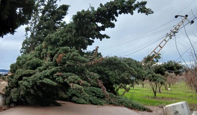 Yalova’da Fırtına Hayatı Olumsuz Etkiledi
