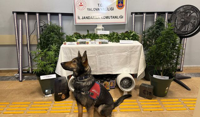 Evden Uyuşturucu Serası Çıktı