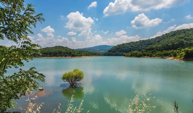 Gökçe Barajı Nefes Aldı: Doluluk Oranı Yüzde 81’e Ulaştı