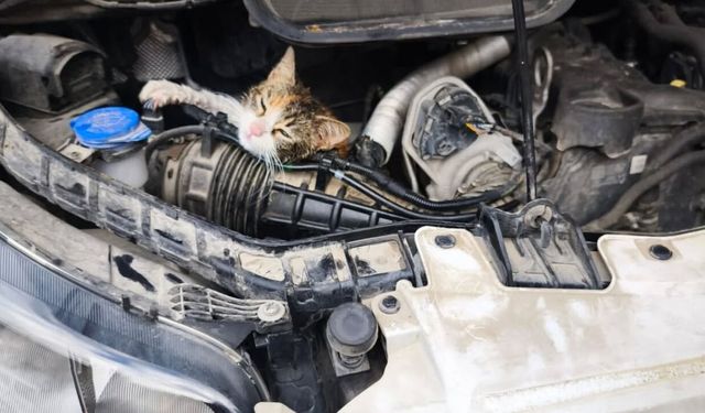 Motor Kaputundan Gelen Ses Hayat Kurtardı