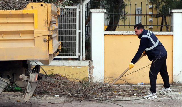 Yalova’da Ağaçlar Sağlıklı Gelişim İçin Budanıyor