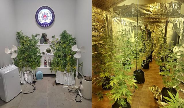 7 Suçtan Aranıyordu, Narkotik Baskınıyla Yakalandı