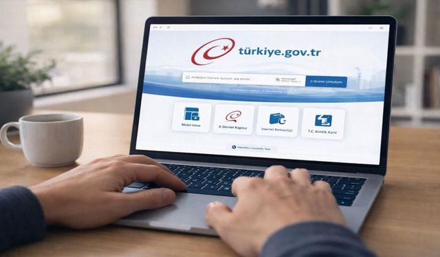Giriş Yap Dediler, Hayatlarını Kararttılar: Sahte E-Devlet Üzerinden Milyonluk Vurgun