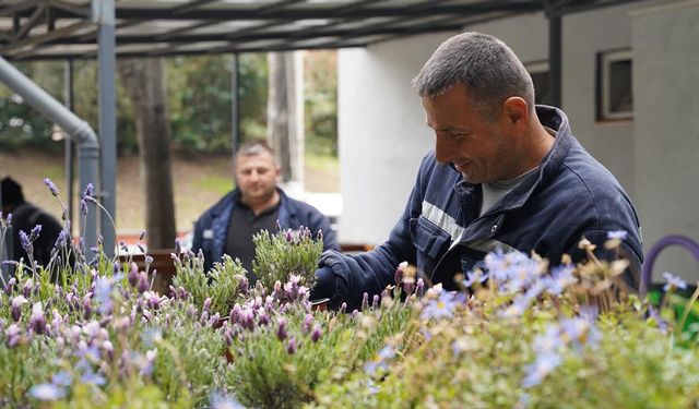 Kadıköy’de Kabir Ziyaretleri İçin Ücretsiz Çiçek Dağıtımı Başladı