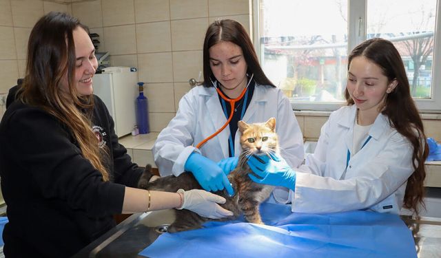 Yalova Belediyesi’nden Erasmus Projesine Destek