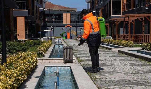 Yalova Belediyesi Görev Başında: Şehrin Her Noktası İlaçlanıyor