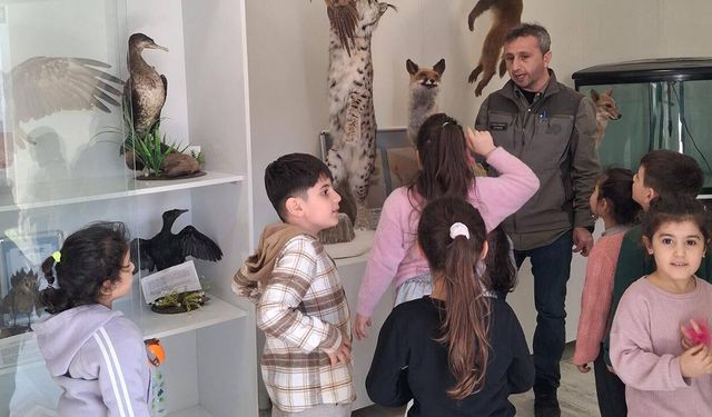 Minik Öğrenciler Doğa Eğitim Merkezi’nde Doğayı Keşfetti