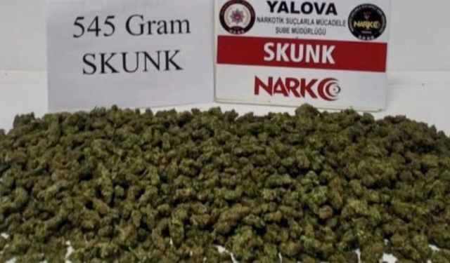 Yalova’da Narkotik Operasyonu: 7 Kişi Yakalandı