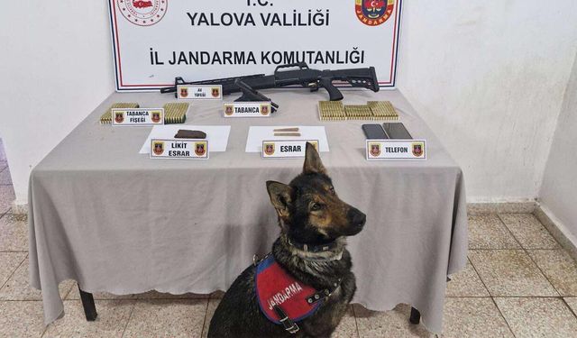 Çınarcık’ta Uyuşturucu ve Silah Operasyonu: 1 Kişi Tutuklandı