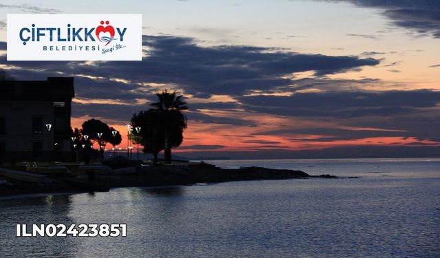 Sıcak Yemek Pişirilmesi ve Dağıtılması