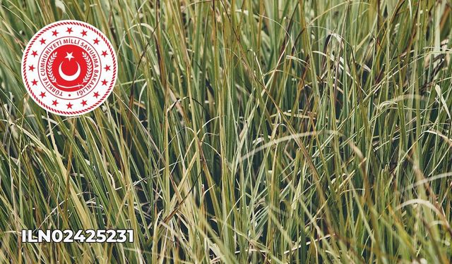 450.000 Kg Biçilmiş Kuru Ağırlıklı Biçilmemiş Yabani Ot Satışı