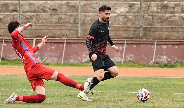 Beraberlikler Haftası