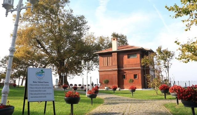 Marmara’nın İncisi Yalova’da Bahar Temizliği: Doğanın Kalbine Yolculuk