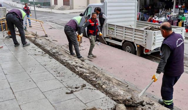 Yalova Pazarpark’ta Yenileme Çalışmaları Başladı