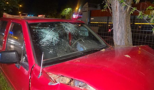 Kontrolü Kaybeden Kamyonet Orta Refüje Savruldu; 1 Yaralı