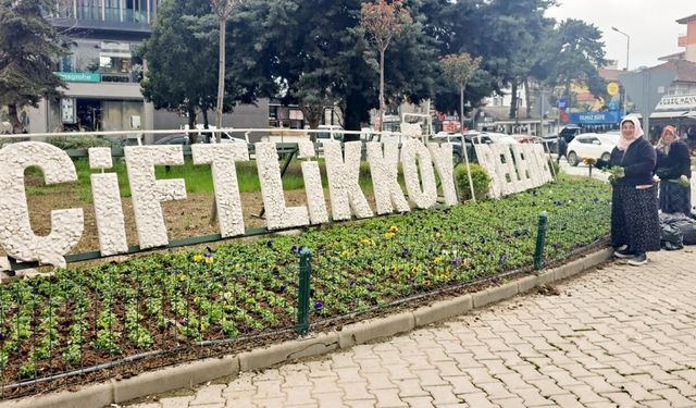 Çiftlikköy’de Atatürk Caddesi Girişi 1000 Menekşeyle Renklendi