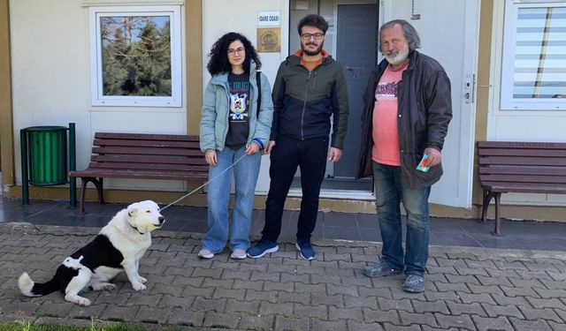 Çınarcıklıklar Sokak Hayvanlarını Sahipsiz Bırakmıyor