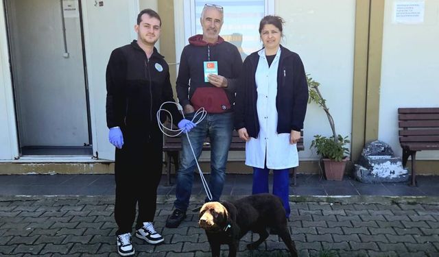 Çınarcık’ta Çalışmaları Sürüyor: Bir Can Daha Yuva Buldu