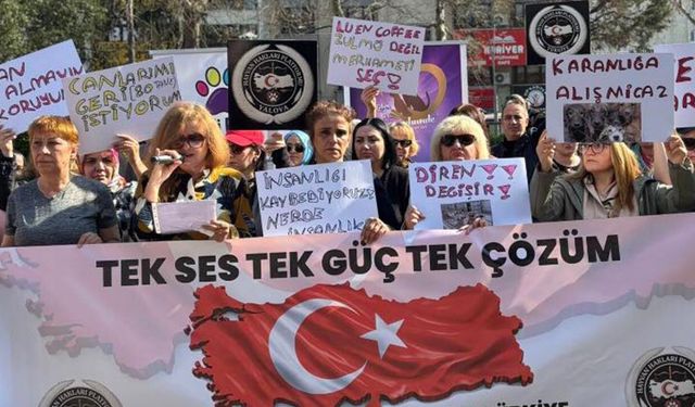 Yalova’da Sokak Hayvanlarının Toplatılmasına Karşı Çıktılar