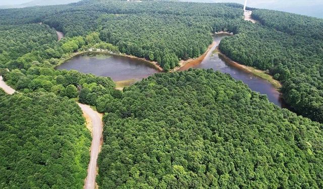 Yalova Turizmi Nereye Gidiyor? İnteraktif Söyleşi Düzenlenecek