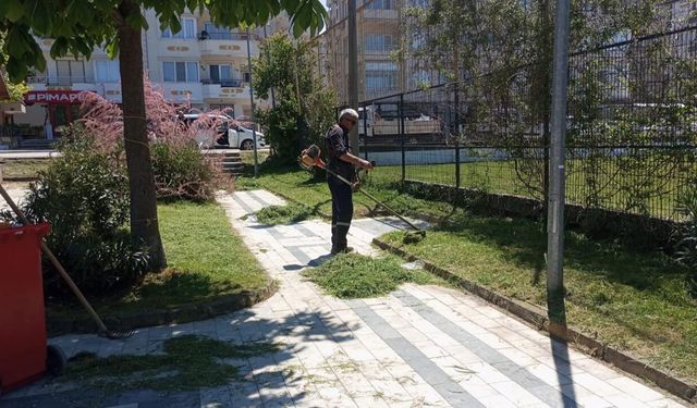 Çınarcık’ta Yeşil Alan ve Çevre Düzenleme Çalışmaları Sürüyor
