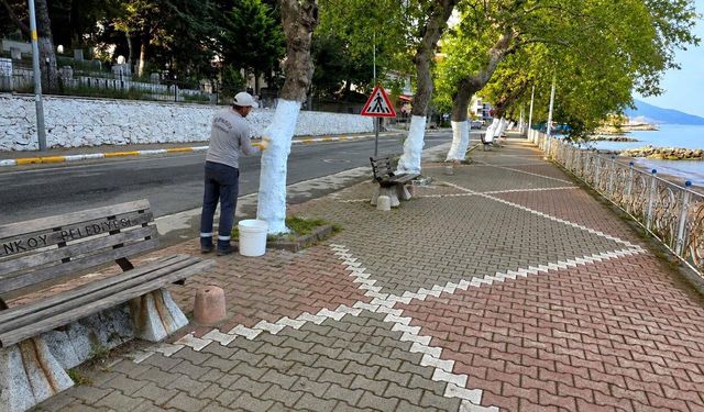 Esenköy Sahili Yaza Hazırlanıyor