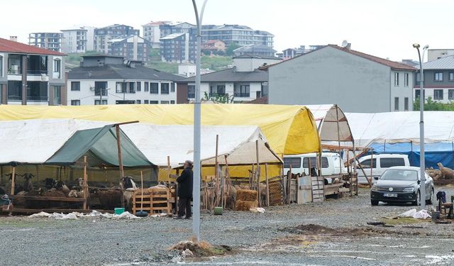 Çiftlikköy’de Kurban Pazarı Bayram İçin Hazır