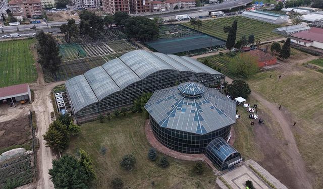 Türkiye’nin Bitki Hazinesi Yalova’da Korunuyor