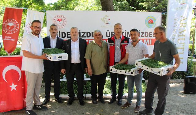 Armutlu’da Üreticiye 20 Bin Fide Desteği