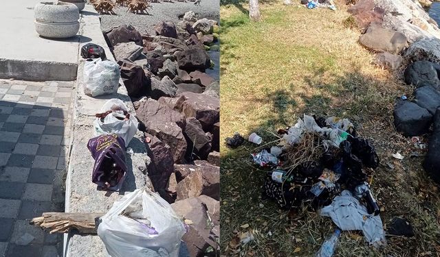 Çınarcık’ta Doğaya Bırakılan Atıklar Temizledi