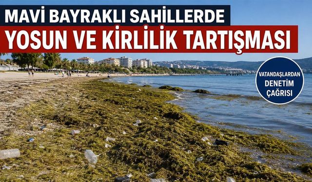 Sahillerde Temizlik Tartışması Büyüyor