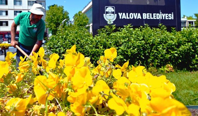 Yalova Belediyesi Mevsimlik Çiçek Ekimine Başladı