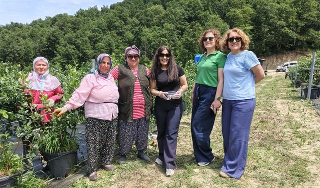 Yaban Mersininde İyi Tarım Uygulamaları Denetimleri Sürüyor