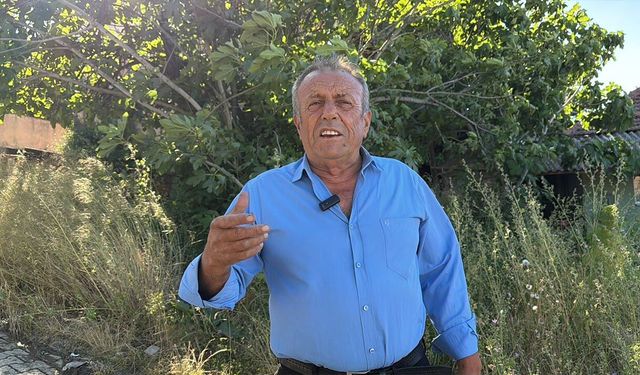 Yalova’nın Kırmızı Altını Tezgahlara İniyor