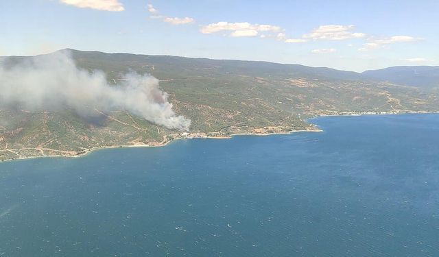Armutlu Kapaklı Hattında Orman Yangını: Ekipler Müdahaleye Başladı
