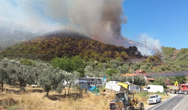 Armutlu’daki Orman Yangını Kontrol Altına Alındı