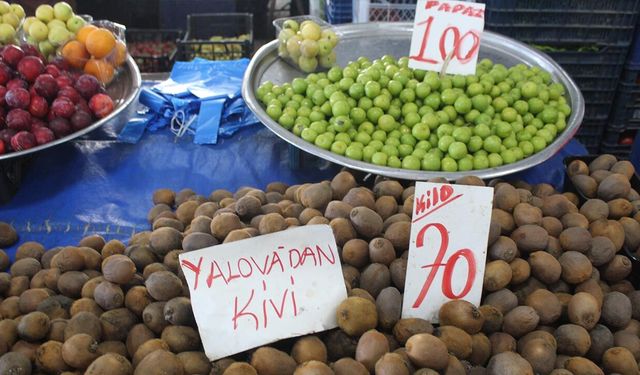Yalova’da Sebze ve Meyve Fiyatları Düşüşte