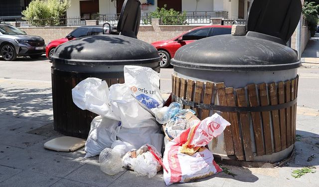 Yalova’da Çevreye Duyarsızlık Devam Ediyor