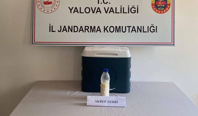 Yalova'da 5 Milyon Dolarlık Akrep Zehri Ele Geçirildi
