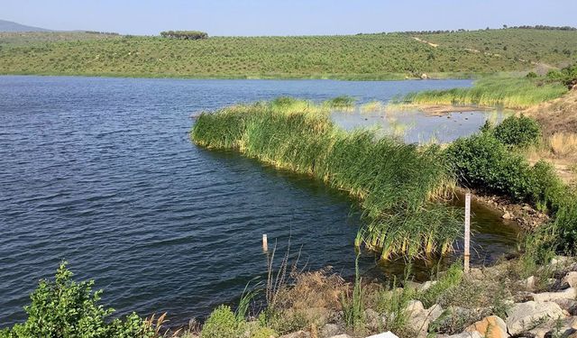 Armutlu Barajı’ndan Kötü Haber