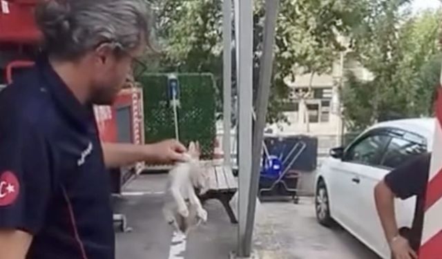 Yalova İtfaiyesi Minik Kedinin İmdadına Yetişti
