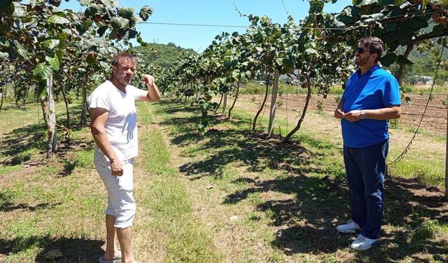 Şenköy’de Üreticilere Uygulamalı Toprak Analizi Eğitimi
