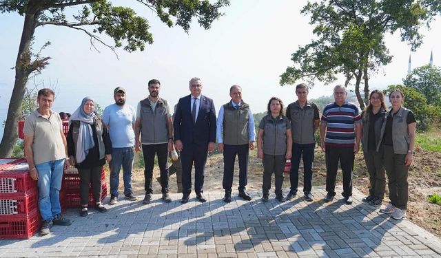 Yalova Üniversitesi Kampüsünde Doğaya Sülün Salındı
