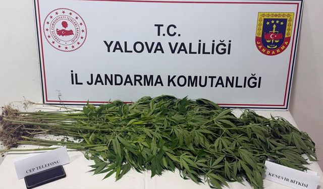 Yalova’da Madde Operasyonu
