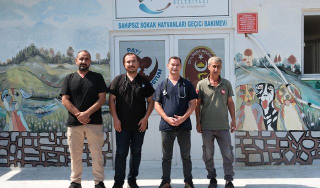 Çiftlikköy Belediyesi Sokak Hayvanlarının Yanında