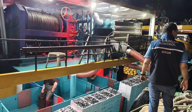 Yalova’da Hamsi Denetimleri 7 Gün 24 Saat Sürüyor