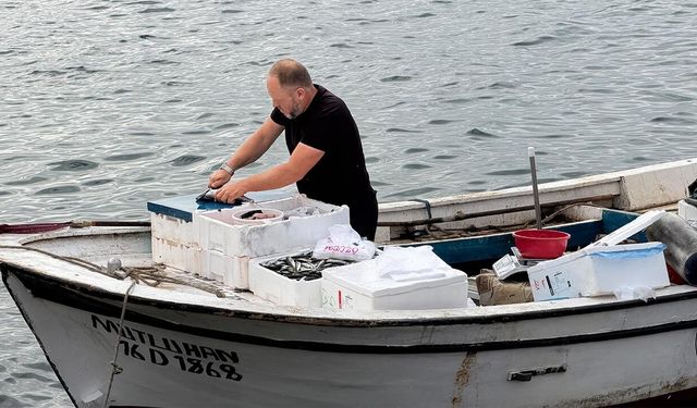Armutlu’da Kayıkla Sahile Mevsim Mahsüllerini Getiren Balıkçı Büyük İlgi Görüyor
